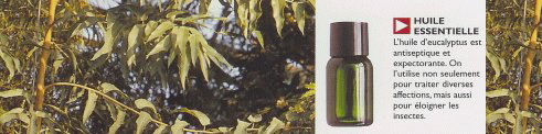 Flacon huile essentielle
