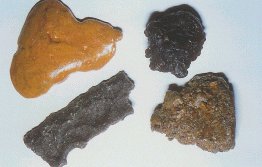 Morceaux de propolis