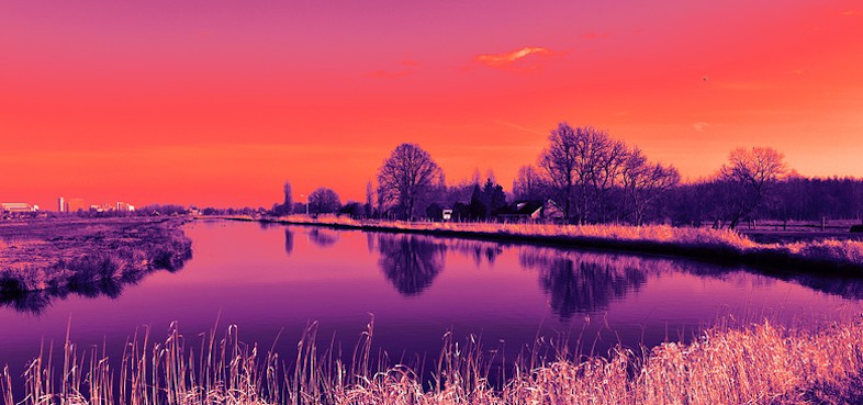 Paysage
          d'hiver