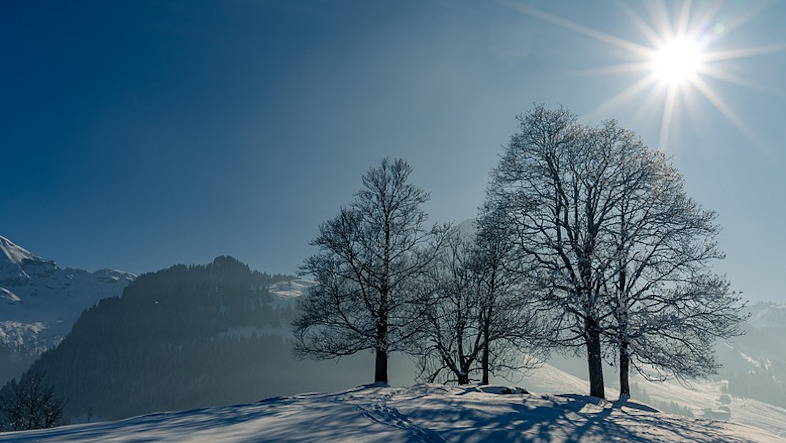 Hiver 2