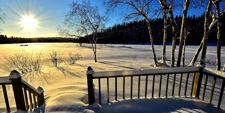 Paysage d'hiver